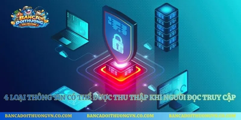 4 loại thông tin có thể được thu thập khi người đọc truy cập website
