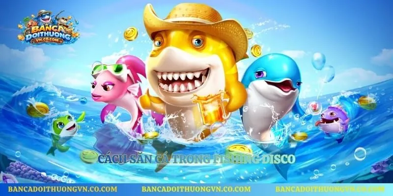 Cách săn cá trong Fishing Disco 