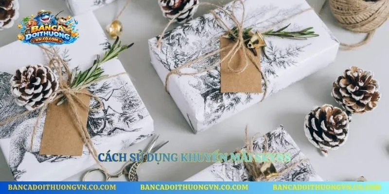 Cách sử dụng khuyến mãi Sky88 