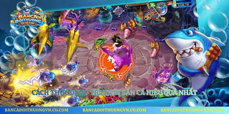 Cách thức dùng trang bị săn cá hiệu quả nhất