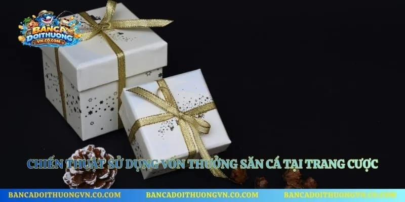 Chiến thuật sử dụng vốn thưởng săn cá tại trang cược