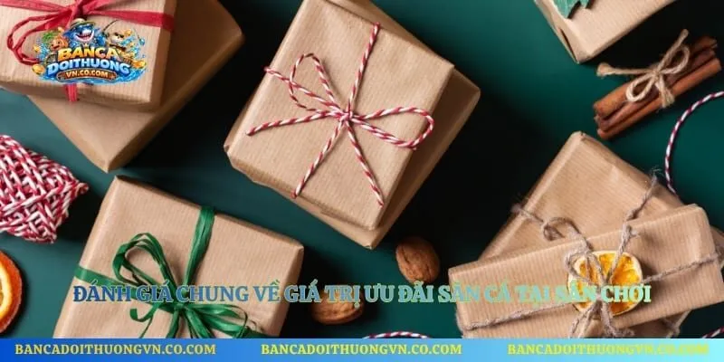 Đánh giá chung về giá trị ưu đãi săn cá tại sân chơi