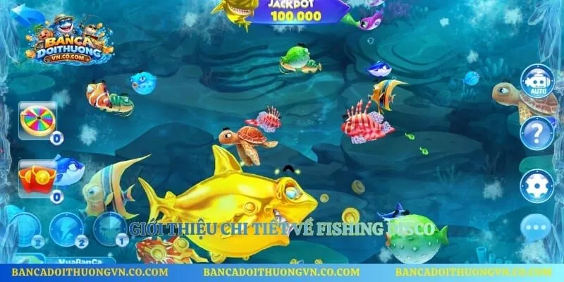 Giới thiệu chi tiết về Fishing Disco 