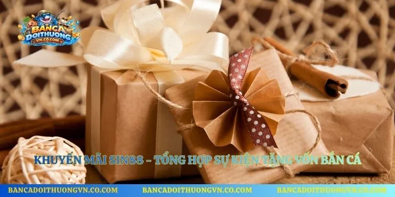 Khuyến Mãi Sin88 - Tổng Hợp Sự Kiện Tặng Vốn Bắn Cá