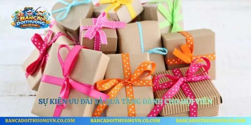 Sự kiện ưu đãi và quà tặng dành cho hội viên 
