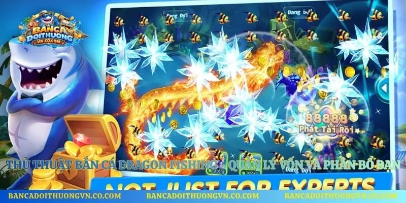 Thủ Thuật Bắn Cá Dragon Fishing - Quản Lý Vốn Và Phân Bổ Đạn