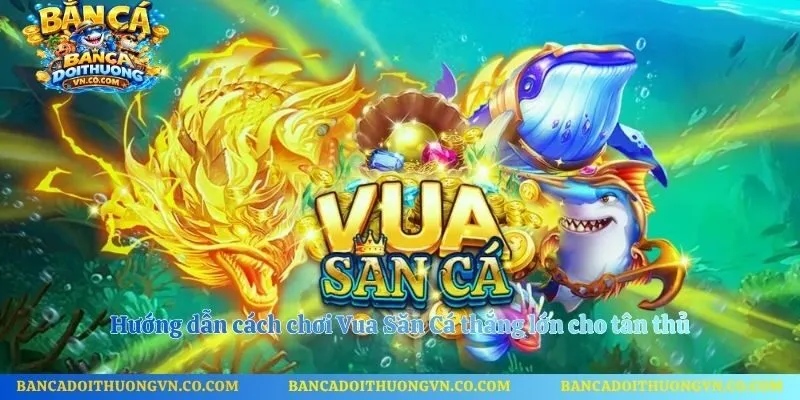 Hướng dẫn cách chơi Vua Săn Cá thắng lớn cho tân thủ